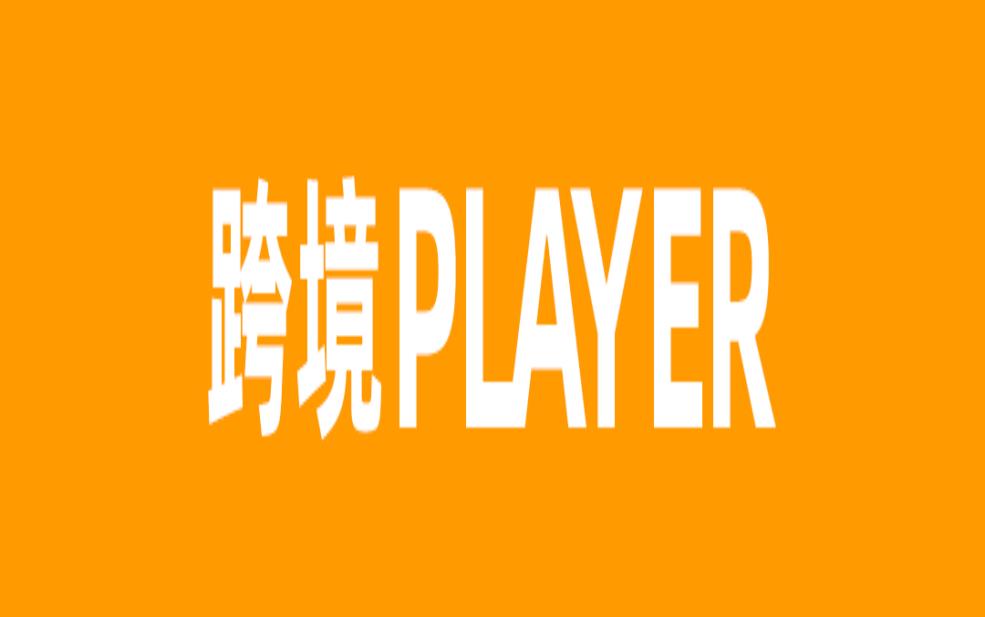 如何给独立站Shopify引流 ？有哪些引流方式？