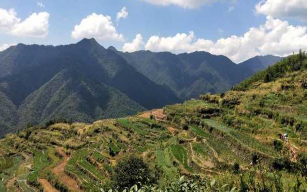  休宁白际乡旅游攻略,当地人推荐什么 