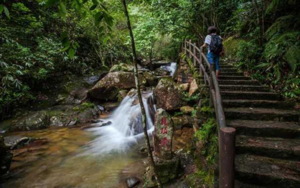 武夷山十八寨旅游攻略,最值得一看的是哪个