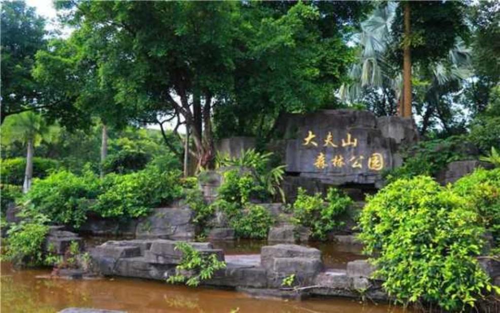 番禺大夫山天气:适合带孩子去玩吗?