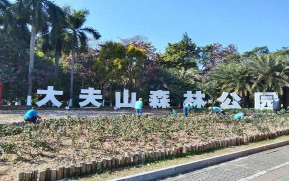 番禺大夫山天气:适合带孩子去玩吗?