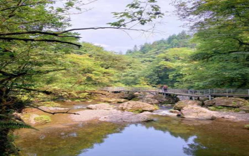 雅安苍龙沟天气:去玩要注意什么?