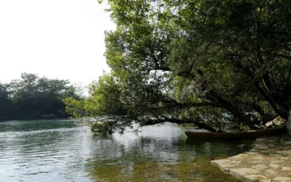平坝小河湾天气:出门要带伞吗?