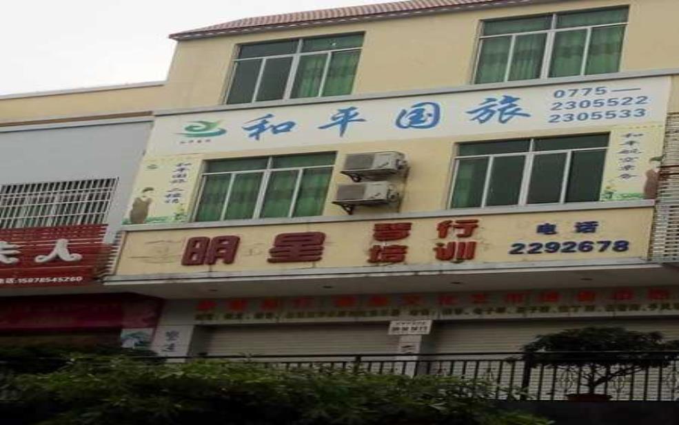 和平国旅, 它还能重回辉煌吗