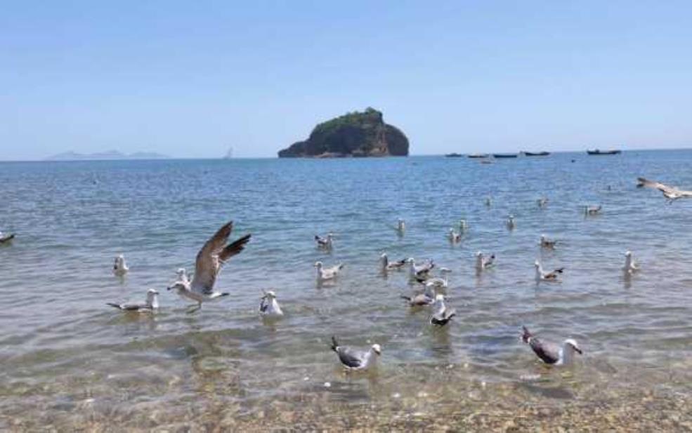  棒棰岛游玩攻略,  怎样才能拍出最美的海岛风光照片 