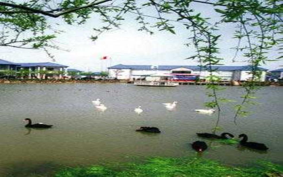  申隆生态园,离碧海金沙远吗 
