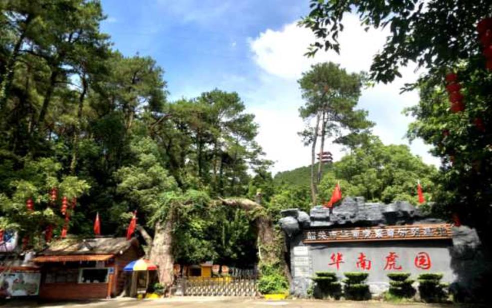 中国虎园:那里环境怎么样?