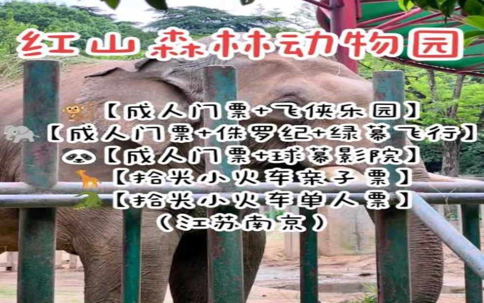 南京红山动物园门票多少钱:现在还有优惠吗?