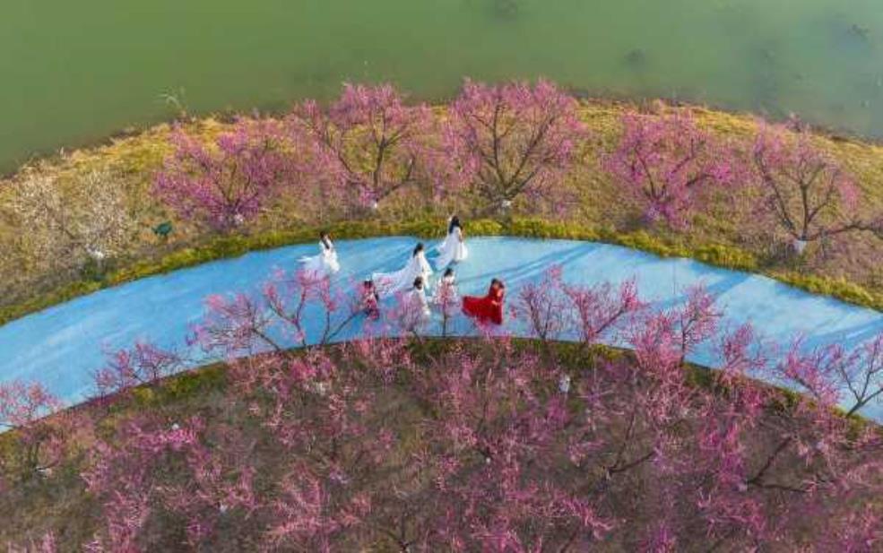 桃花岛网址:为何如此神秘?