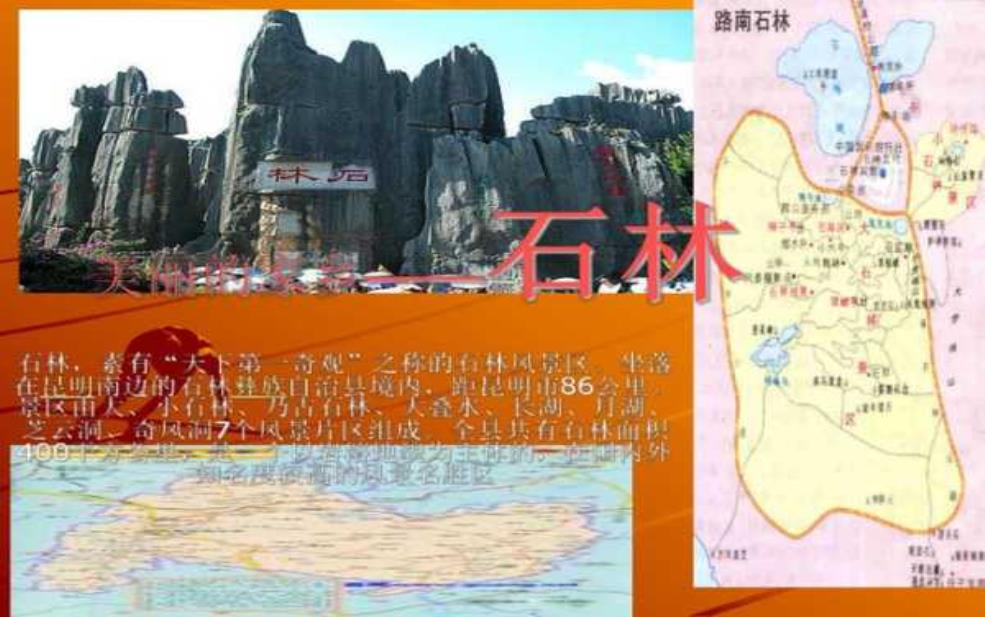 石塘林简介:石塘林的独特魅力是什么?