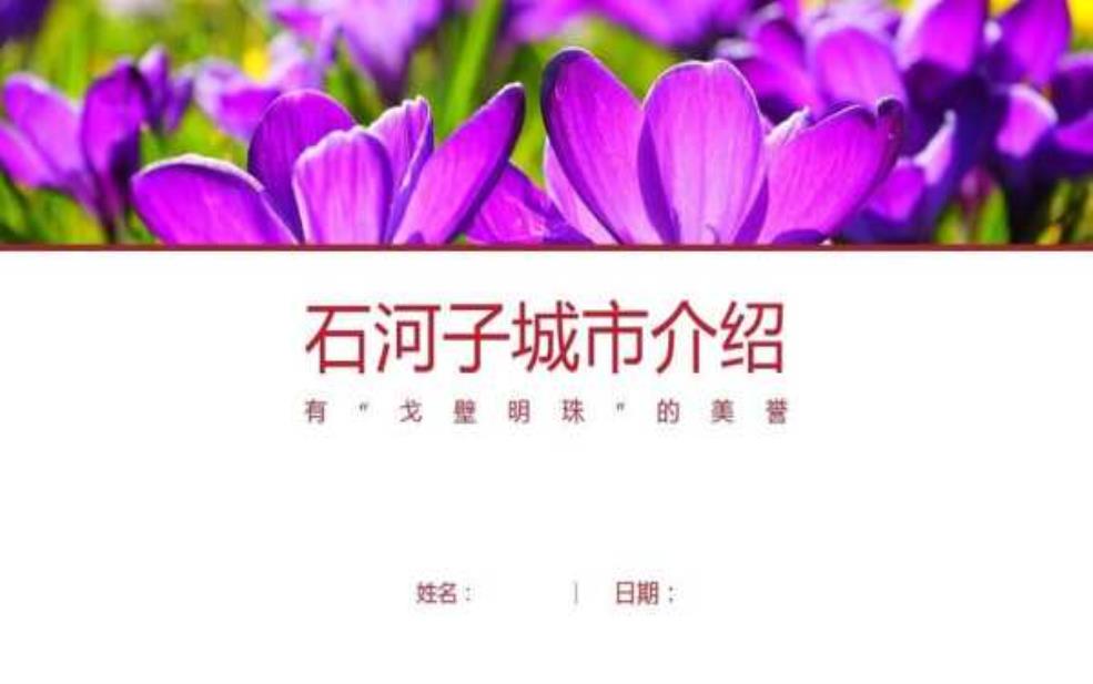  石河子简介：它有哪些独特魅力？ 