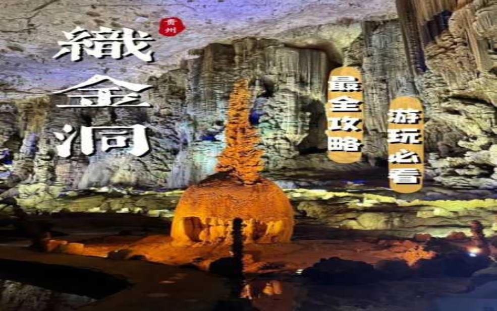 织金洞门票: 学生和老人能免费吗?