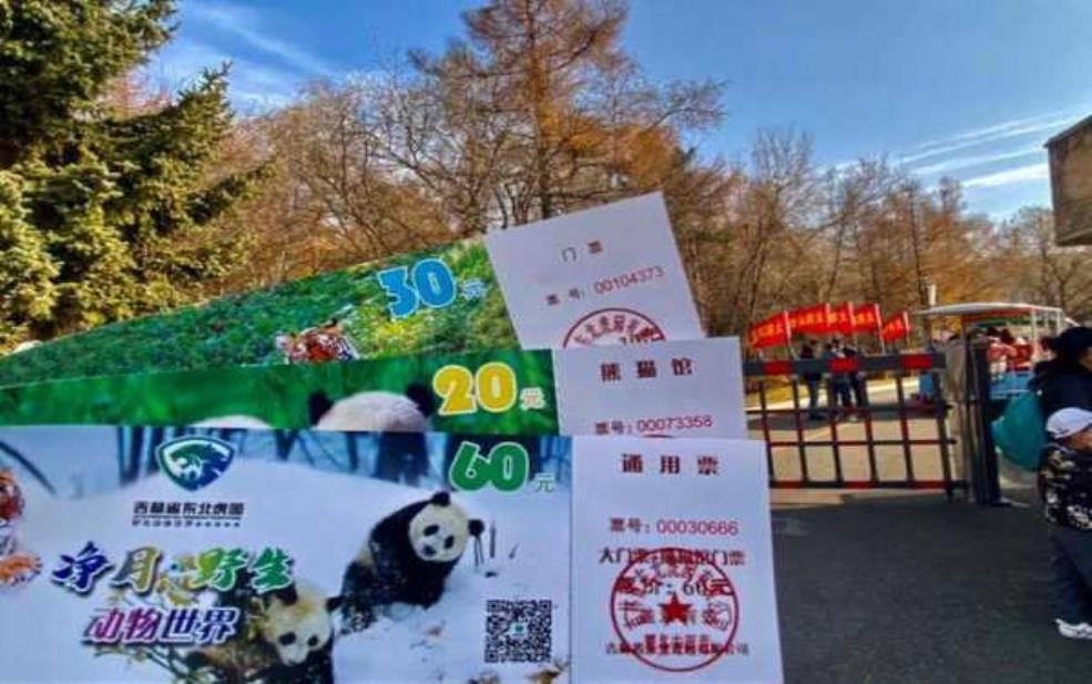 长春东北虎园门票多少钱:熊猫馆还要单独买票吗?