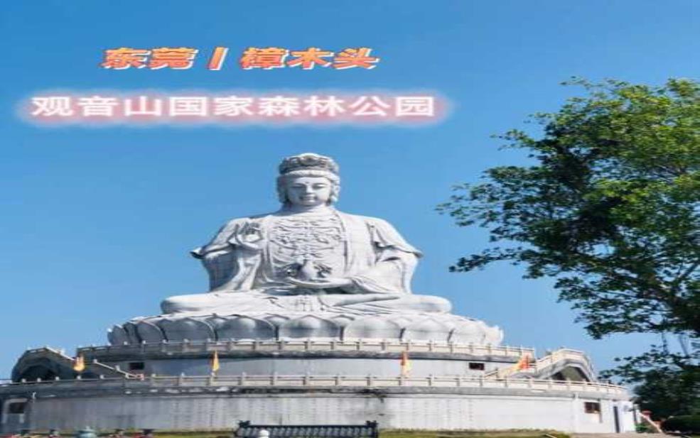 东莞观音山门票:6岁以下的小孩可以免费吗?