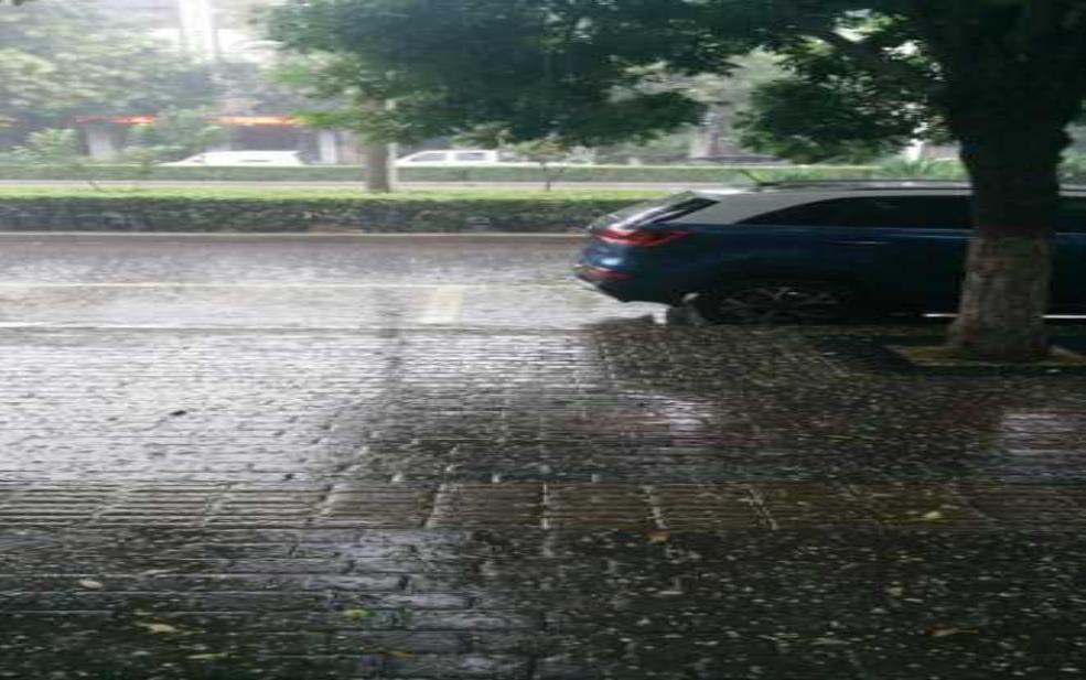 河南长垣天气,会一直下雨吗