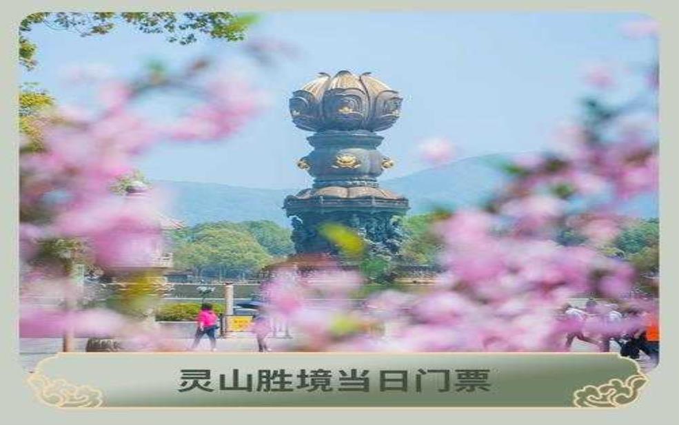  无锡灵山胜境门票,带孩子去玩要注意什么 