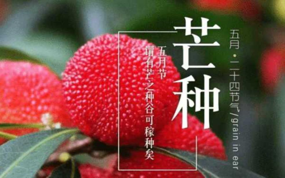 丰润四月限号:哪些日子要躲着走?