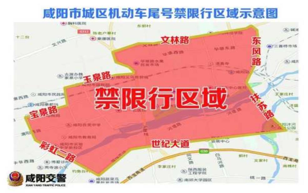 临西限号怎么查询: 我该怎么查询?