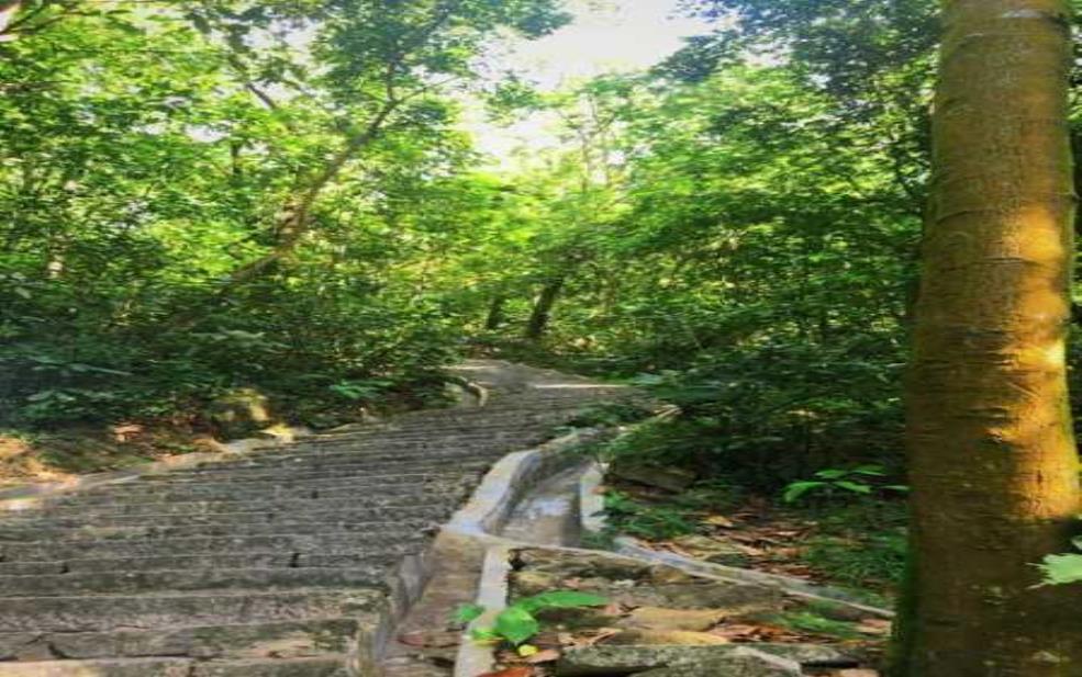 凤凰山海拔多少米:比深圳的凤凰山高多少?