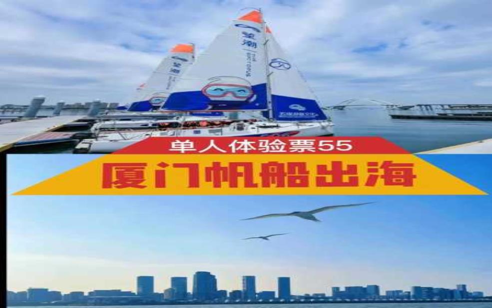  厦门帆船出海攻略：哪里可以找到靠谱的船家？ 