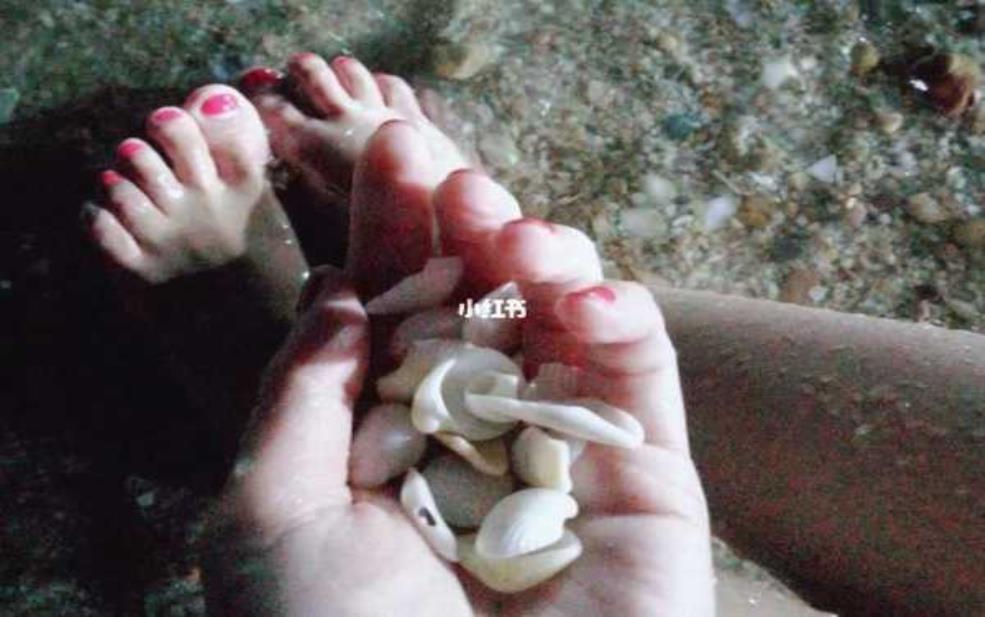 贝壳能带上飞机吗:是不是要先问问安检叔叔?