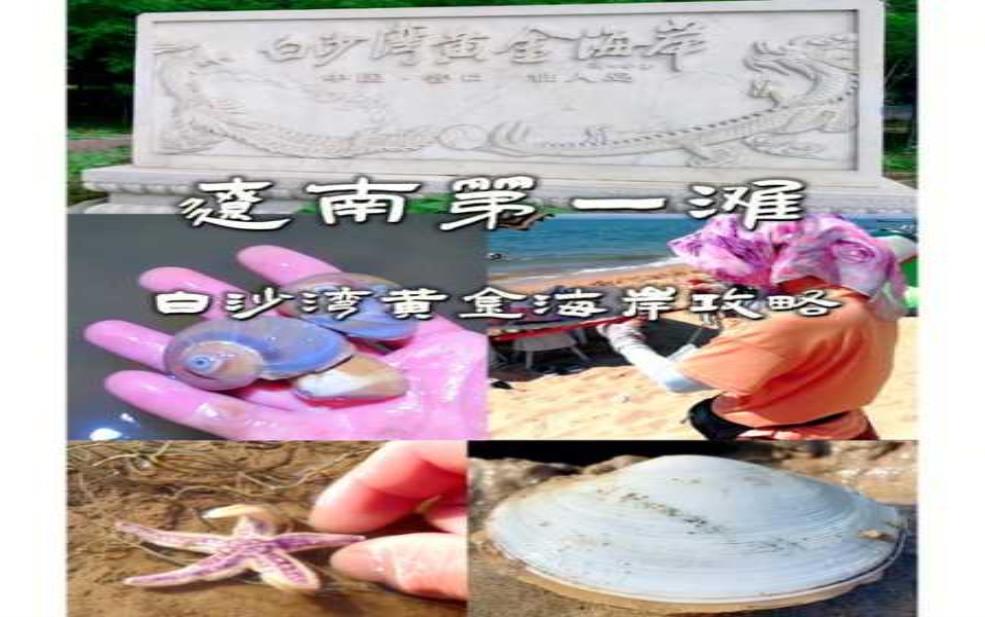 辽宁白沙湾在哪里:真的有东北第一桃乡这么厉害吗?