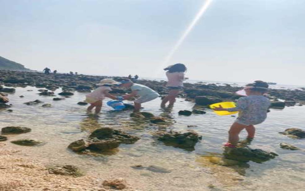  三亚哪里可以赶海,小东海值得一去吗 