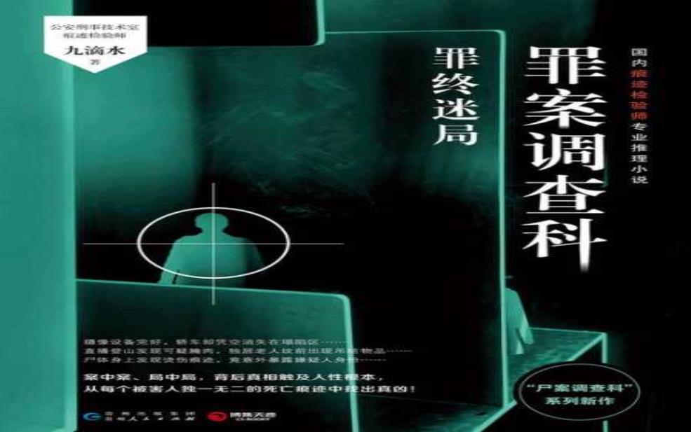 商业罪案调查科,你能搞得定吗