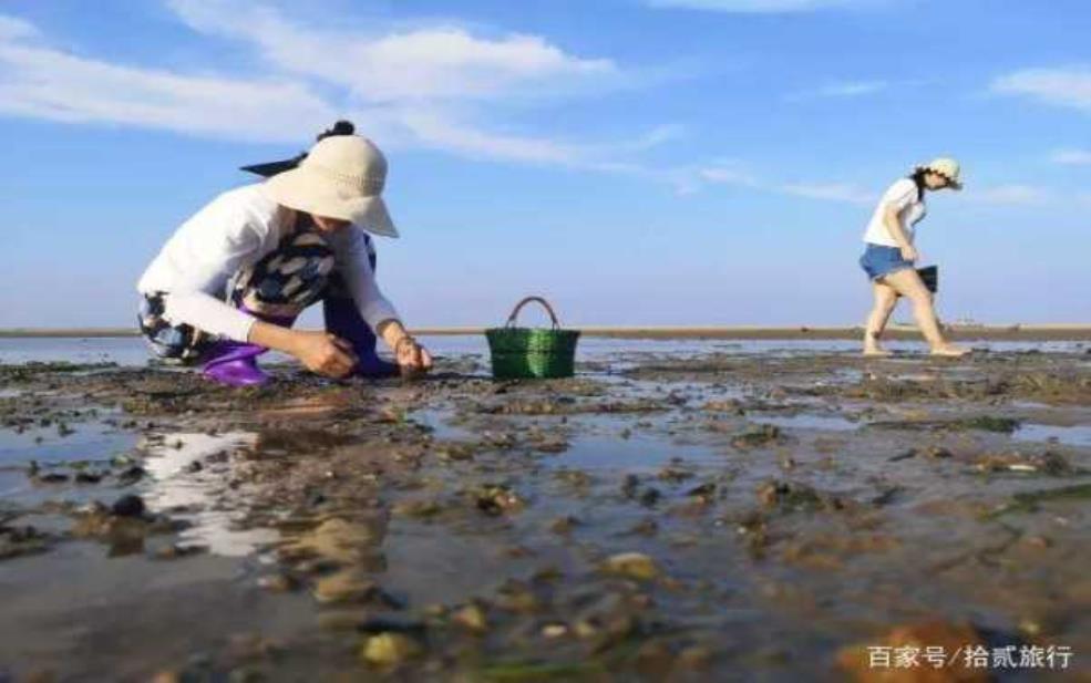 哪里可以赶海,哪里能拍出漂亮照片