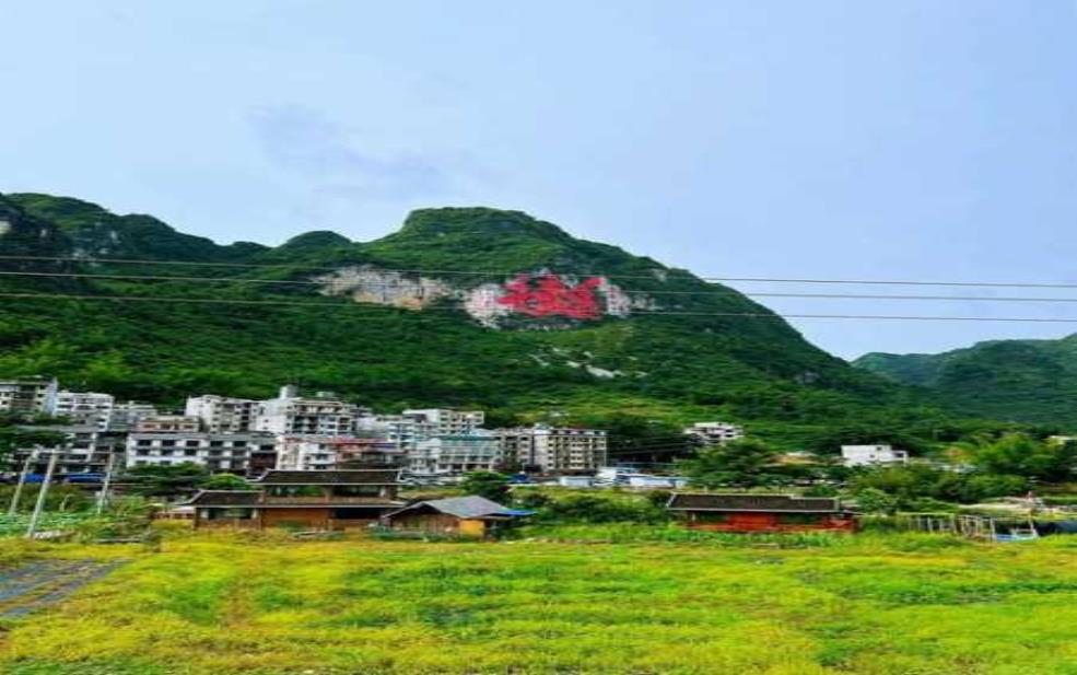 巴马长寿村租房,怎么才能找到性价比高的房源