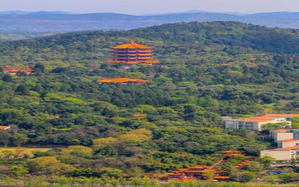  鼓山海拔多少米,爬到山顶景色好吗 