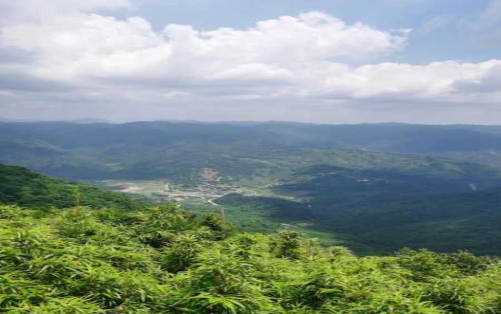 鼓山海拔多少米,爬到山顶景色好吗
