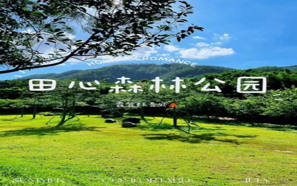 中山田心森林公园:需要提前预约吗?