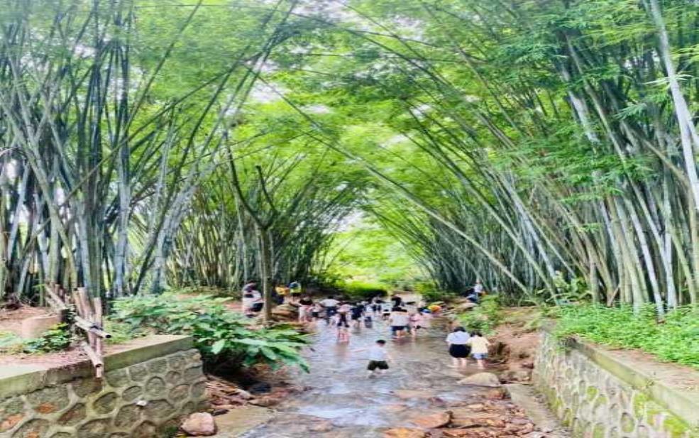 中山田心森林公园:需要提前预约吗?