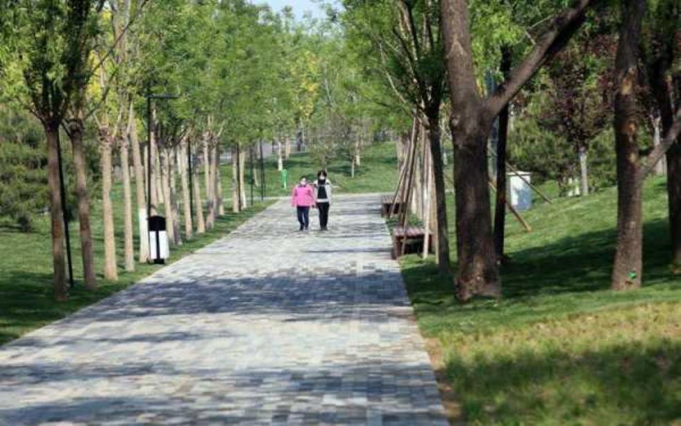 北京的公园:哪家最适合周末放松?