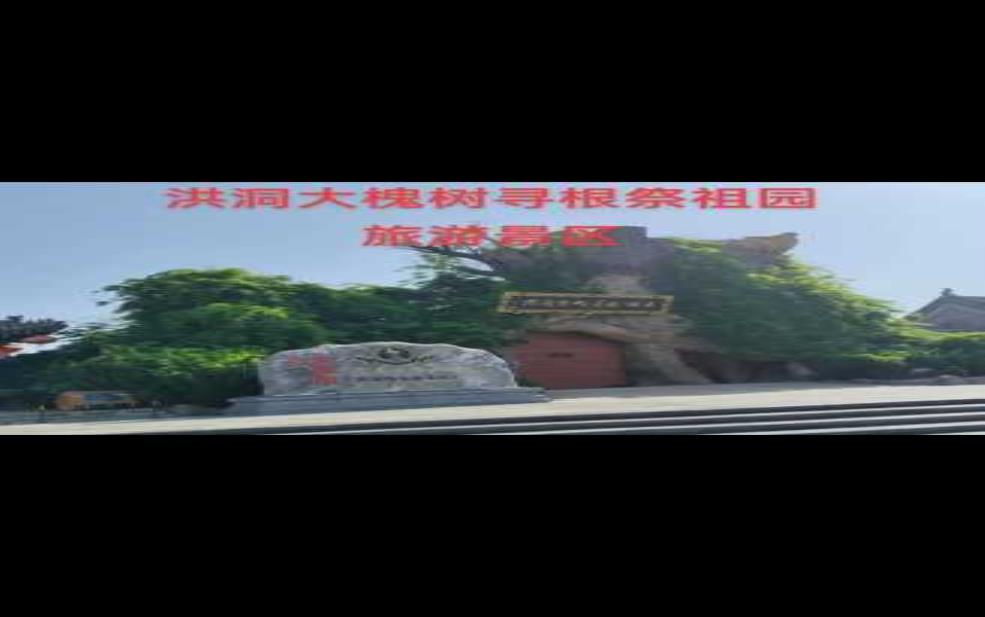  山西洪洞大槐树简介：  它究竟见证了怎样的历史？ 