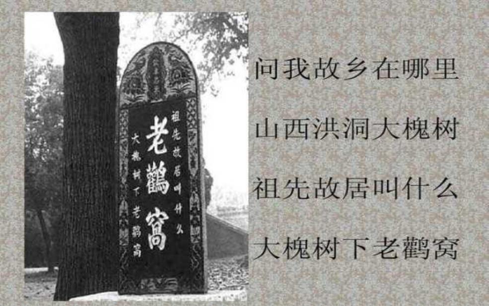 山西洪洞大槐树简介: 它究竟见证了怎样的历史?