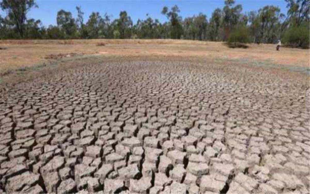  今年天气现象大全：高温、干旱、洪涝…  这是咋回事？ 