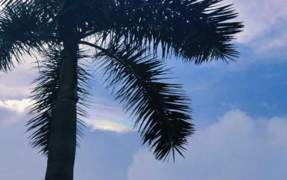 南宁天气幸福归来:幸福真的要回来了吗?