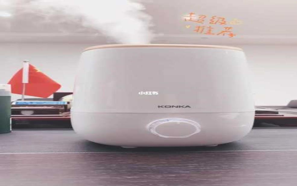 天气干燥买加湿器:皮肤都受不了了?