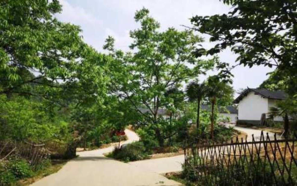 滨海港经济区,庭院经济怎么玩