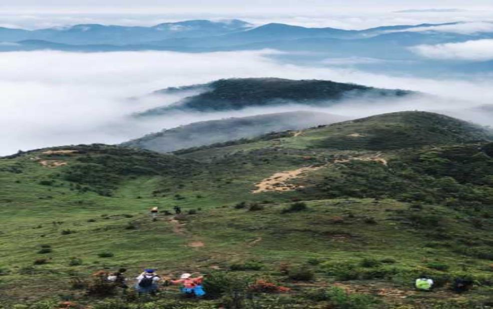 天露山在哪里, 坐车要多久才能到