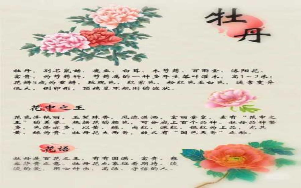  盛唐牡丹,为何能成为文化瑰宝 