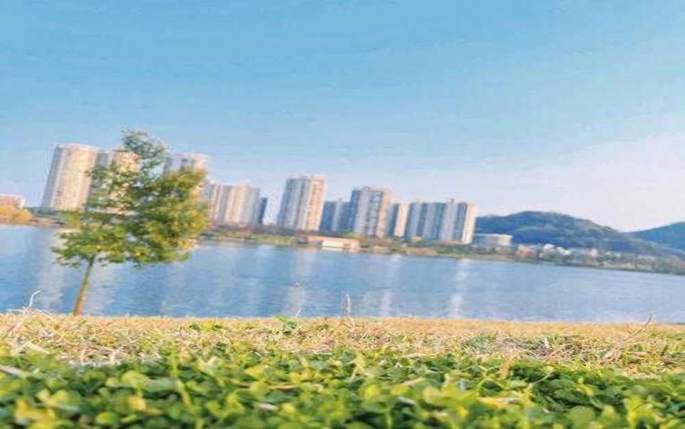 长沙望月湖玫瑰园,现在怎么样了