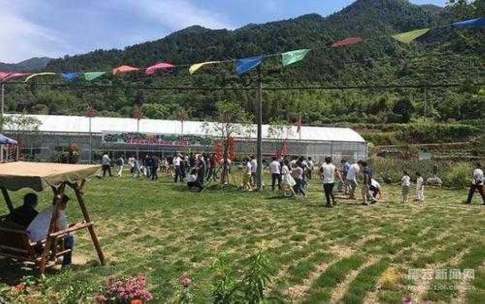 缙云大洋镇旅游攻略,有哪些亲子游玩项目
