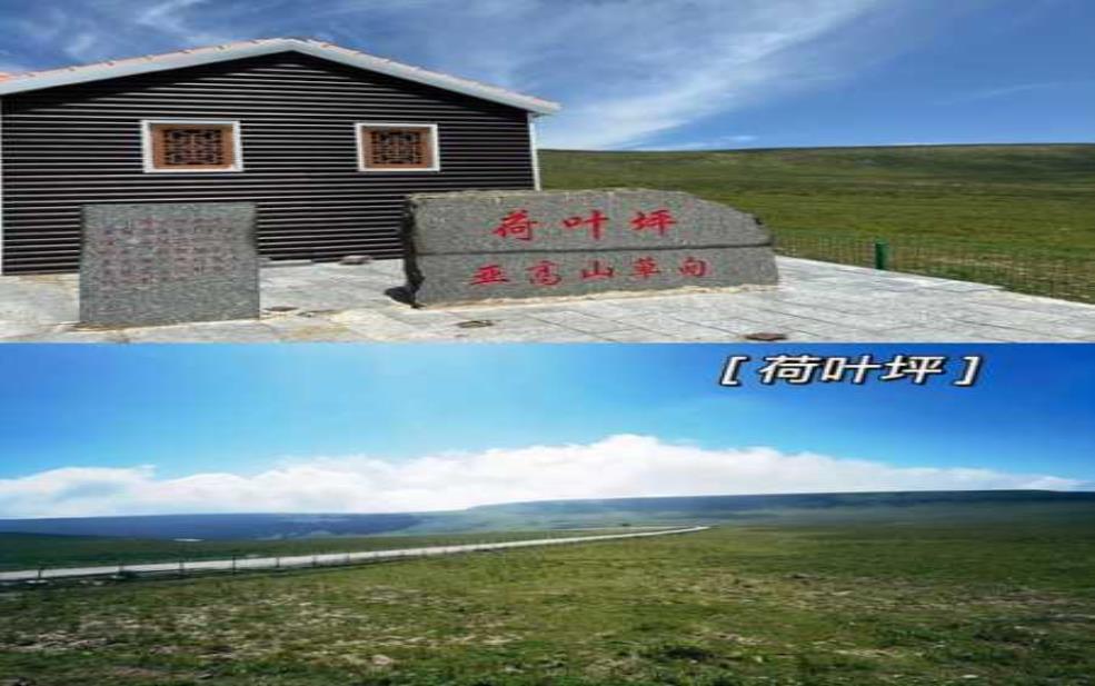 荷叶坪旅游攻略,自驾游需要注意什么