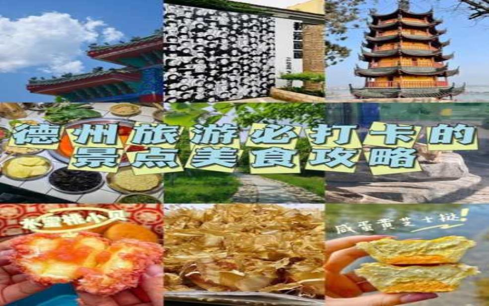 qq宠物欧洲旅游攻略,有哪些必打卡的景点和美食