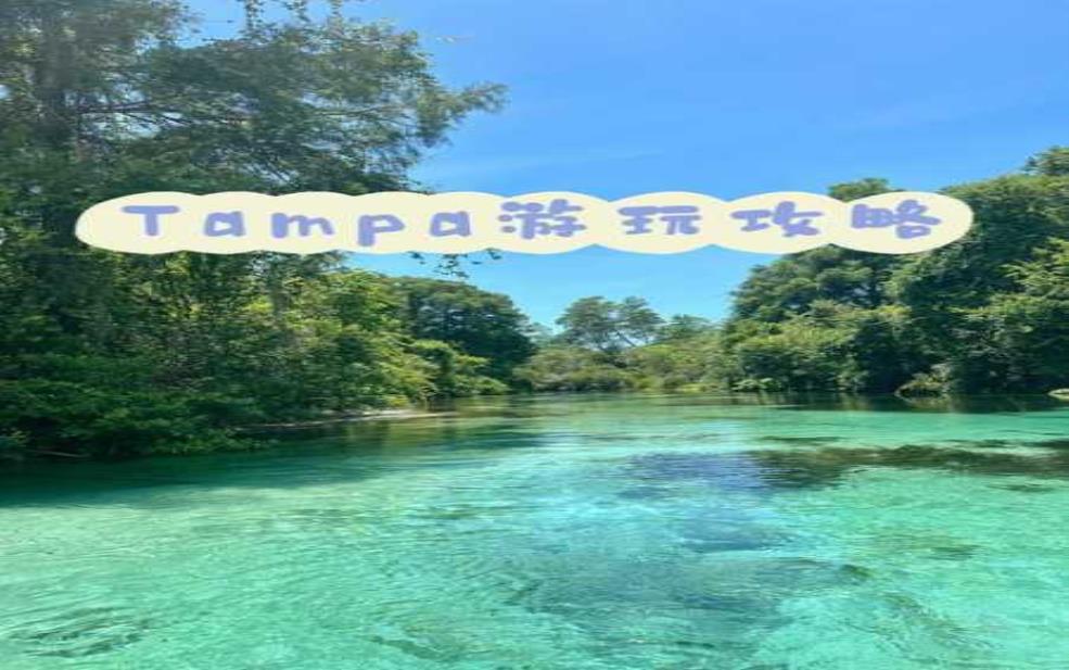tampa旅游攻略, 坦帕购物有哪些推荐
