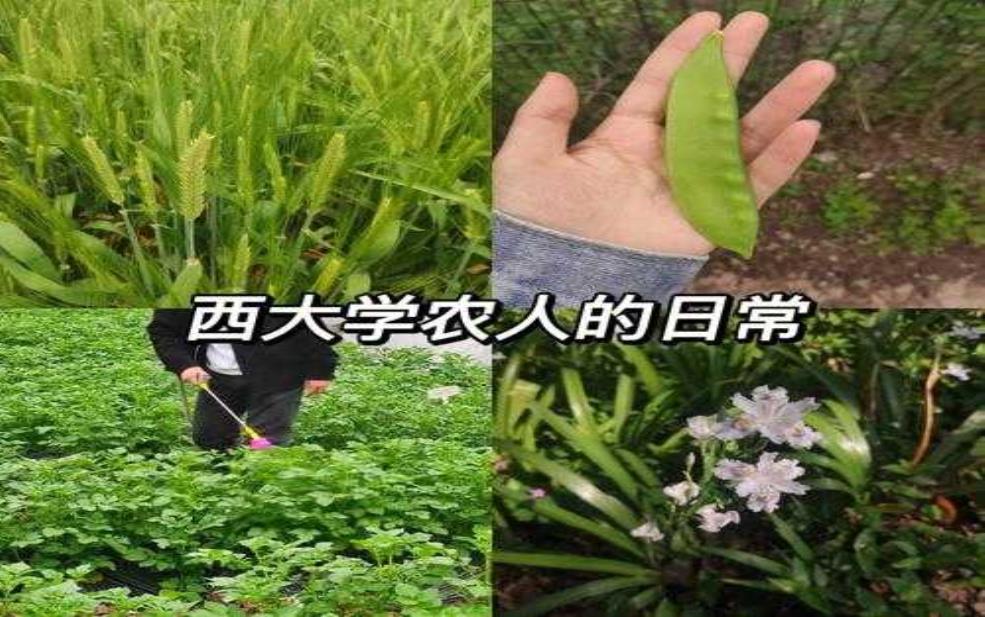 长乐学农天气, 当天适合外出作业吗?