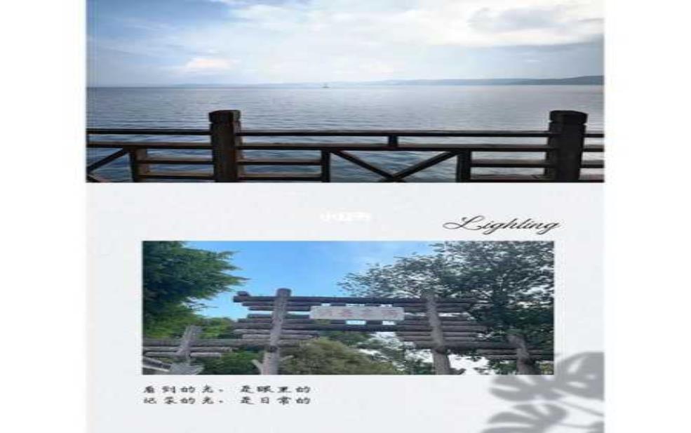 鱼洞最近天气, 适合出行还是居家?